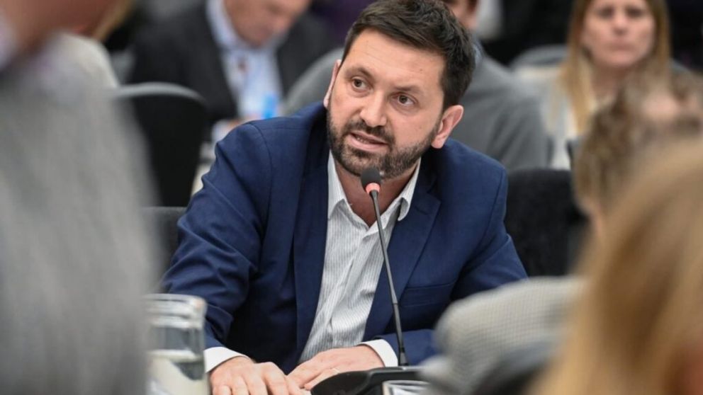 Salida de Argentina de la OMS: diputados de Provincias Unidas exigen explicaciones al Gobierno y reclaman que intervenga el Congreso