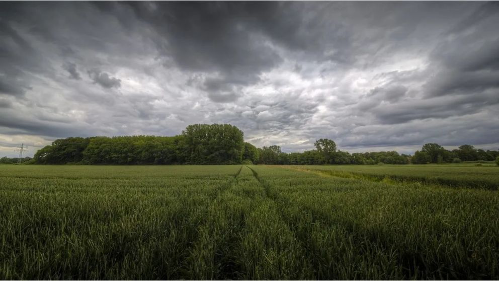 Las lluvias se extendieron sobre gran parte del área agrícola durante los últimos días