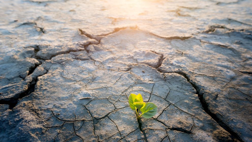 La OMM advirtió que el clima global atraviesa un desequilibrio récord por el aumento sostenido de gases de efecto invernadero