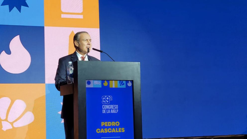 Pedro Cascales, presidente de Cegla