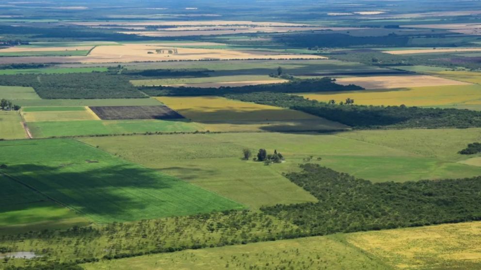 El Gobierno anunció una reforma para habilitar la venta de tierras rurales a extranjeros y modificar el régimen de propiedad