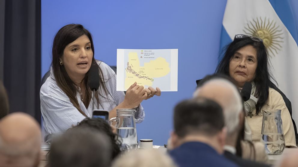 Audiencia pública por la reforma de la Ley de Glaciares: la oposición impugnó el procedimiento y denunció restricciones a más de 100.000 inscriptos