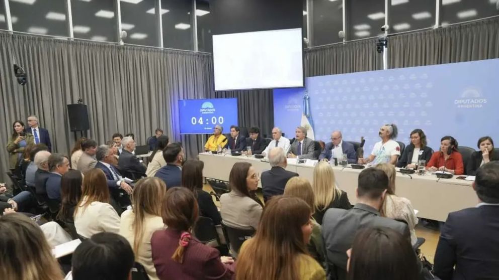 Reforma de la Ley de Glaciares: Diputados terminó las audiencias públicas y aún no define cuándo se votará el proyecto