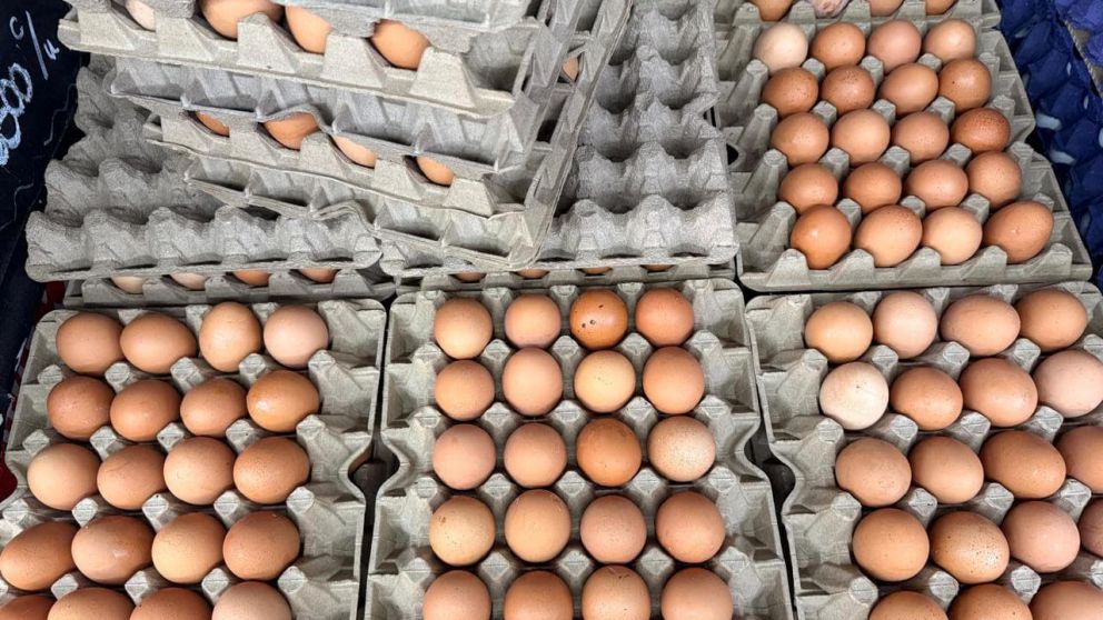 Hay 1.500 locales de productores avícolas que venden sólo huevos