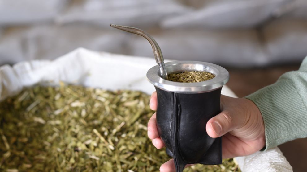 Caída del consumo de yerba mate en Argentina: en febrero bajó 9% interanual y el primer bimestre cerró con retracción