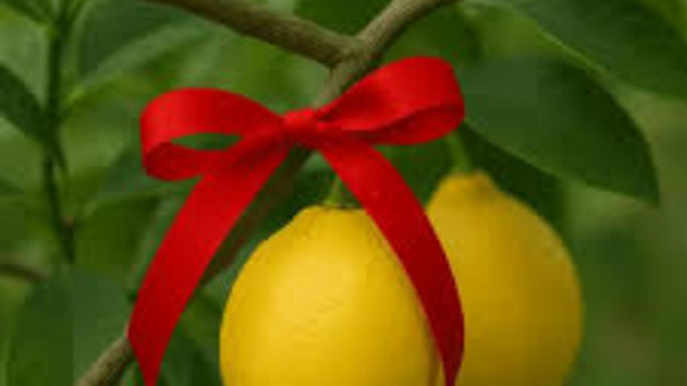 El ritual de atar una cinta roja al limonero seg�n el Feng Shui