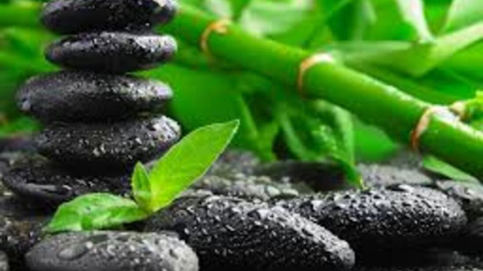 "Lo que guardás sin usar habla de vos": el Feng Shui revela cómo el desorden impacta en tu energía