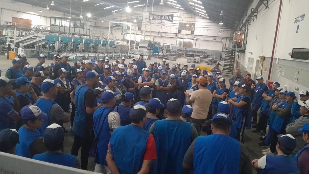Moño Azul redujo en un 50% el plus por productividad