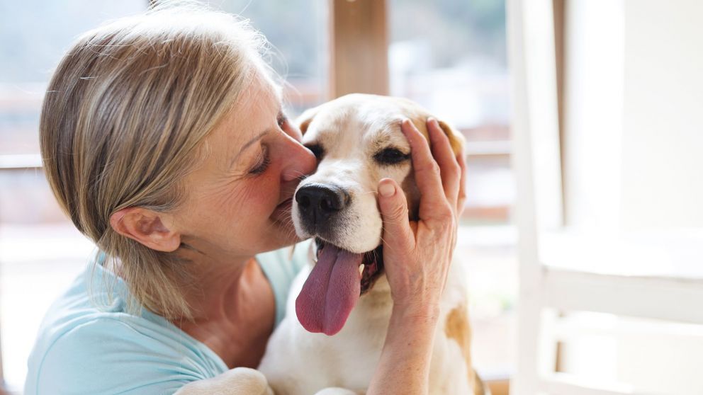 ¿Por qué es mejor tener perros a partir de los 50 años?