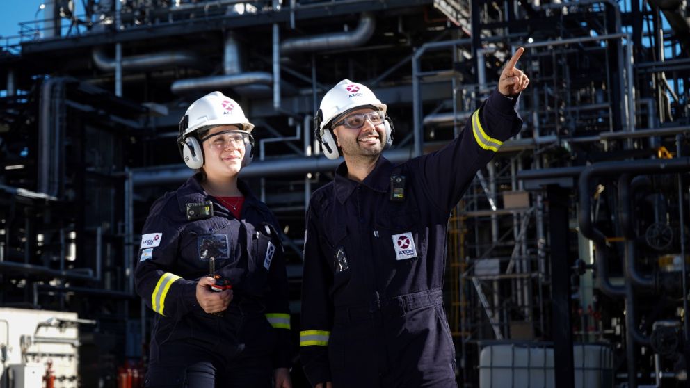Los participantes se integrar�n a equipos de trabajo vinculados a proyectos estrat�gicos