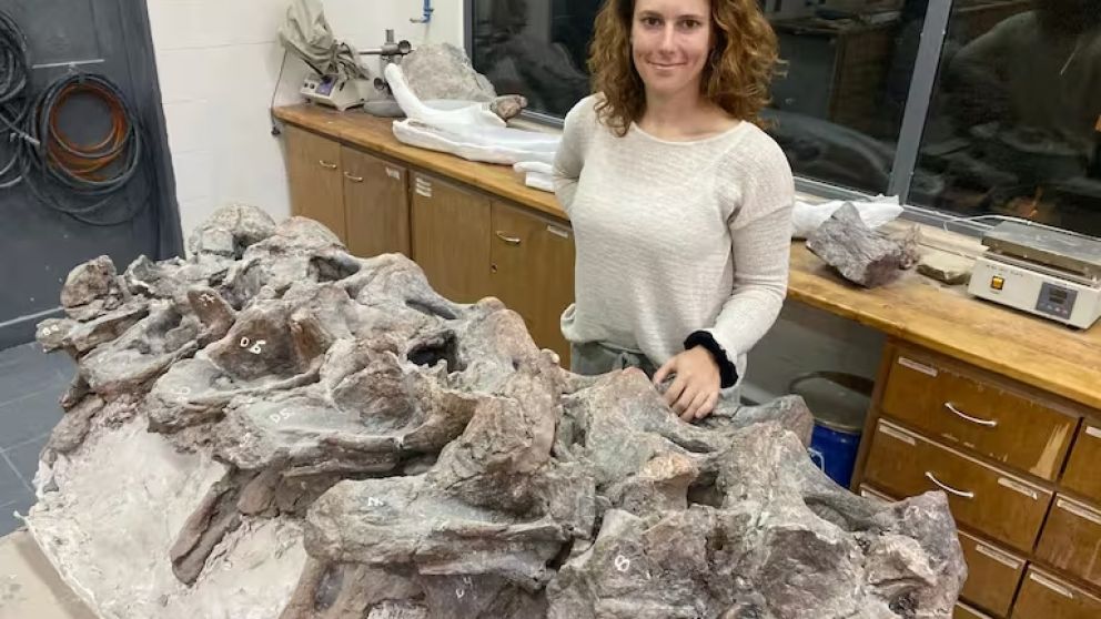 Alexandra Reutter, paleontóloga alemana y autora principal de la investigación, junto a fósiles de Bicharracosaurus dionidei en el laboratorio de preparación del MEF