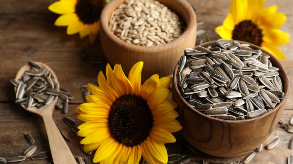El ritual con semillas de girasol que el Feng Shui recomienda hacer antes de dormir