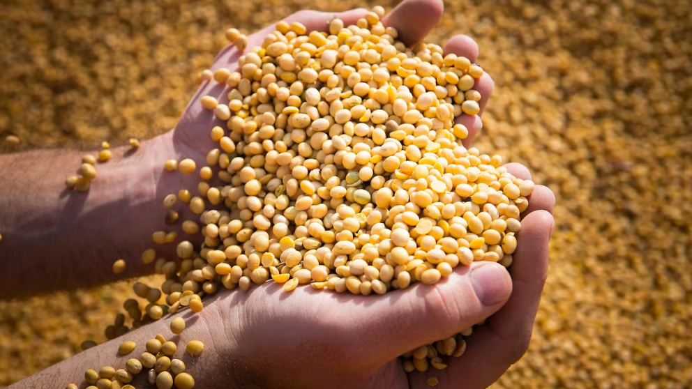 "Es una campa�a r�cord donde el lugar disponible va a ser determinante", resumi� Contardi