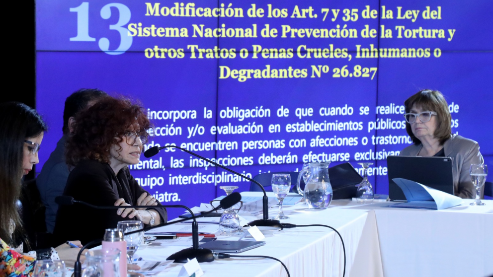 La directora de Salud Mental, Liliana González, expuso en el Senado los principales ejes de la reforma de la Ley 26.657