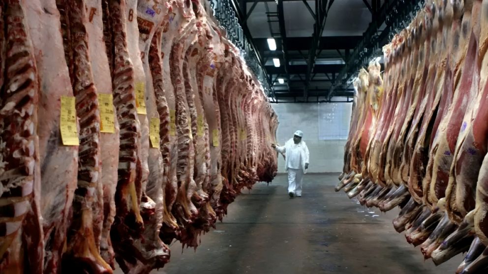 El tonelaje de carne vacuna exportado subi� 17,08% interanual, hasta 199.658 toneladas, seg�n Agricultura