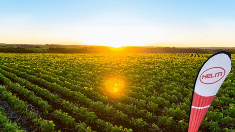 Helm, una de las empresas de agroquímicos más importantes del mundo se va de la Argentina
