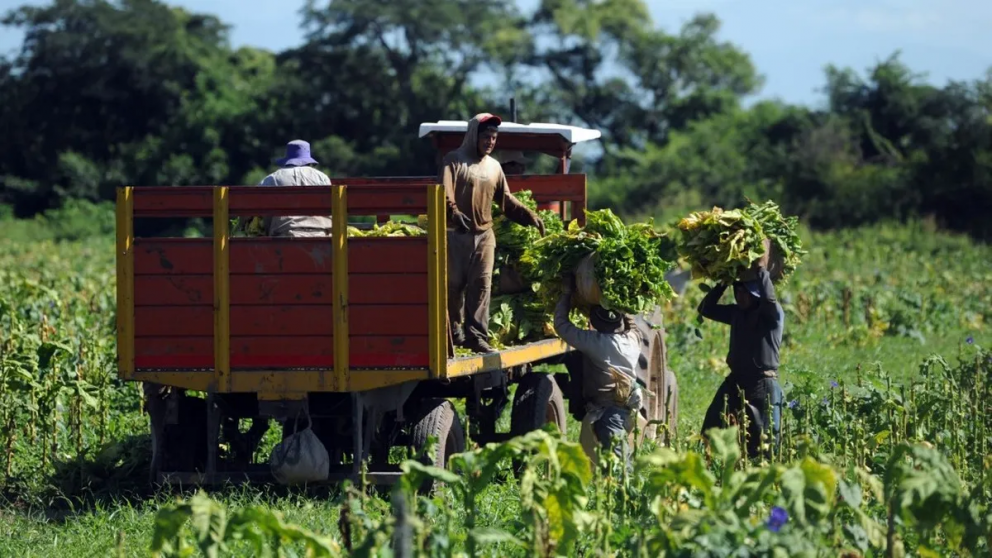 El Gobierno homolog� la primera paritaria rural bajo el nuevo esquema de negociaci�n colectiva que impuls� la reforma laboral