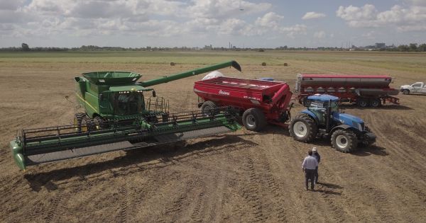 Agro prevé ingresos de USD 36.111 millones en 2026