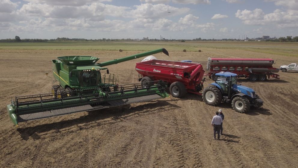Proyecci�n de ingresos del agro en 2026 seg�n la BCR con exportaciones por USD 36.111 millones y aumento de producci�n de soja y ma�z