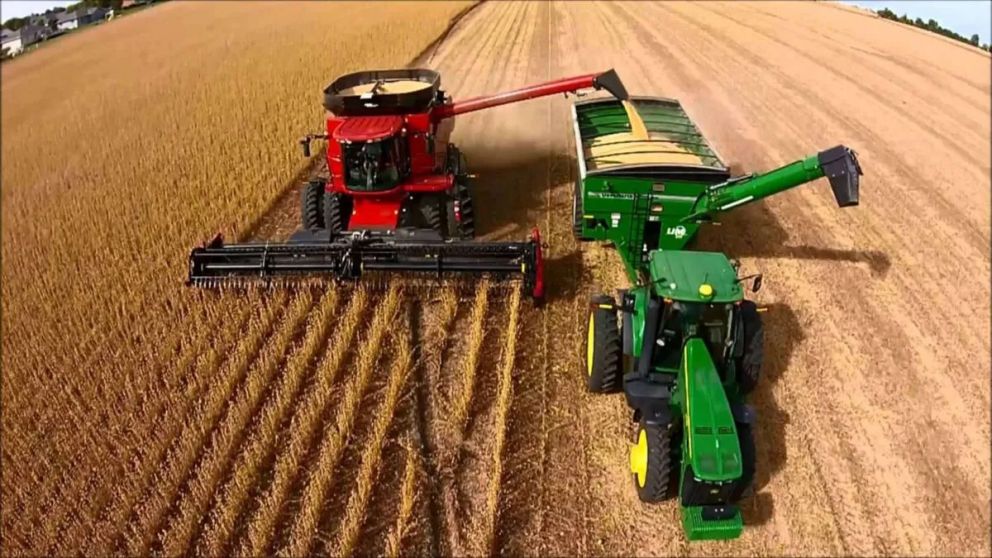 El gr�fico de incidencias del INDEC ubic� al agro como principal motor del mes