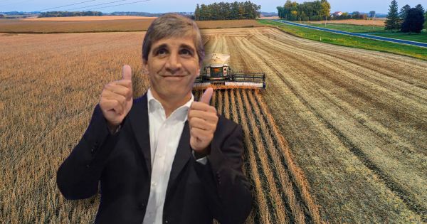 Cosecha récord en Argentina: 163,2 millones de toneladas