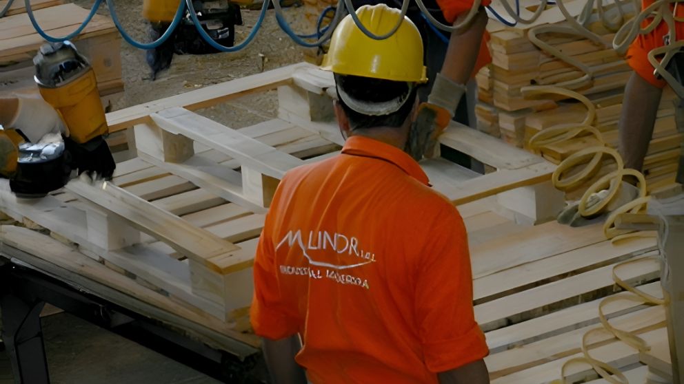 Una de las madereras m�s importantes del pa�s quebr�