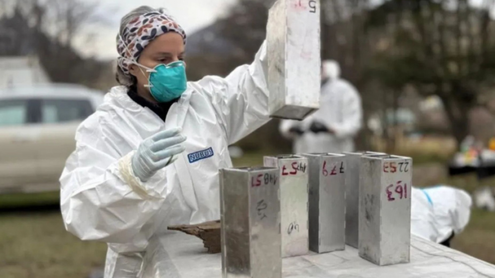 Especialistas del Malbr�n instalaron 200 trampas en Ushuaia para investigar la posible circulaci�n de hantavirus