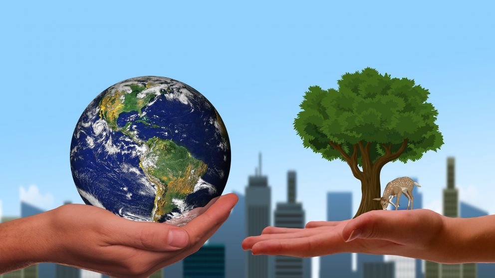 El Movimiento B celebra dos d�cadas de expansi�n global