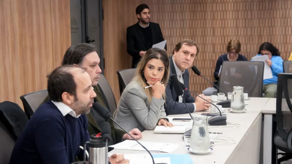La UOCRA asegur� en Diputados que desde la llegada de Javier Milei al Gobierno se perdieron 91.000 empleos formales en la construcci�n.