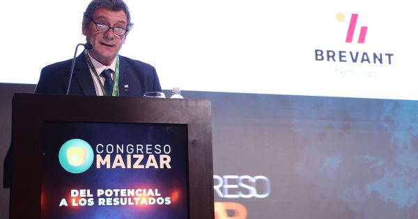 Maíz: Argentina busca alcanzar 100 millones de toneladas