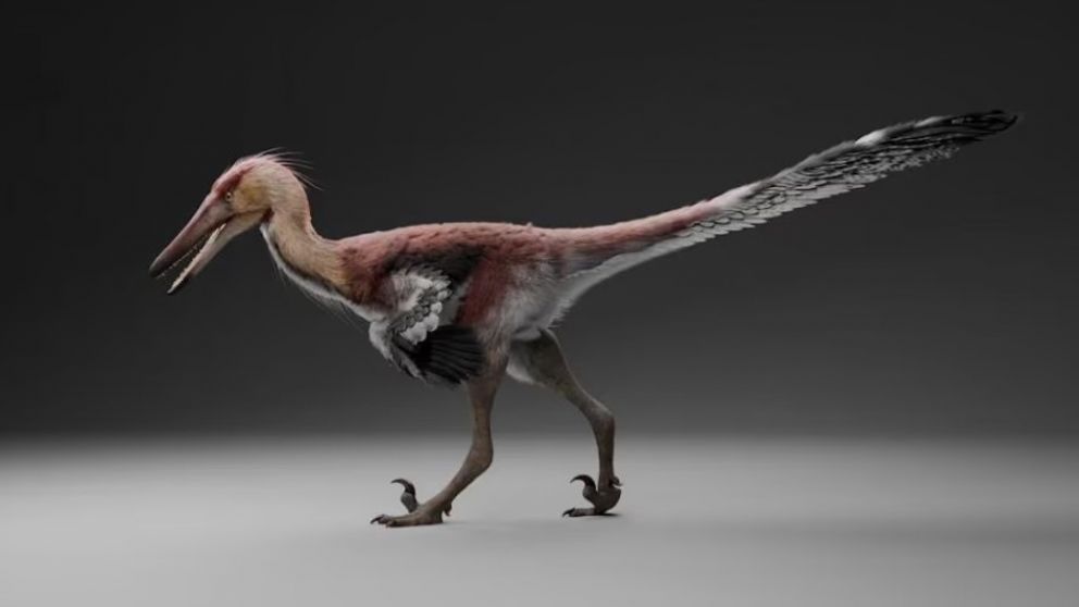 Descubren al "gran �and�", un nuevo dinosaurio raptor de la Patagonia