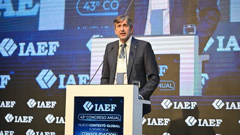 Pablo Miedziak, presidente de IAEF