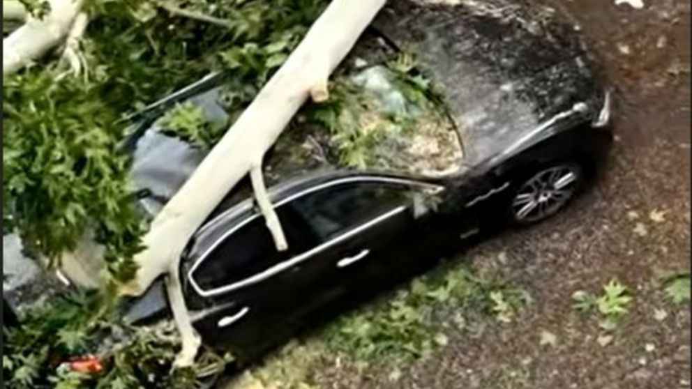 En Conca d'Oro, una Maserati negra terminó aplastada por un árbol derribado por el viento