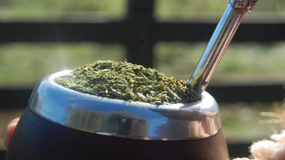 El mate podría retrasar el Parkinson, según un estudio