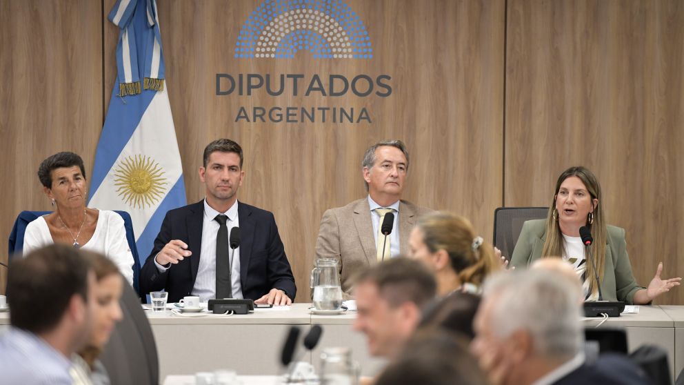 Diputados de la oposición avanzan en un nuevo proyecto de Ficha Limpia