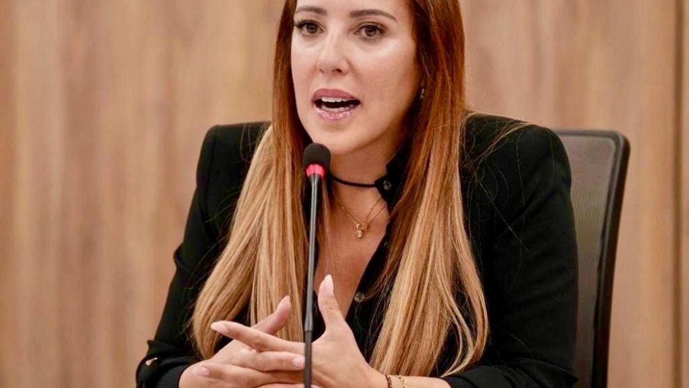 Presentan un proyecto para suspender embargos de ARCA y aliviar las deudas de las PyMEs