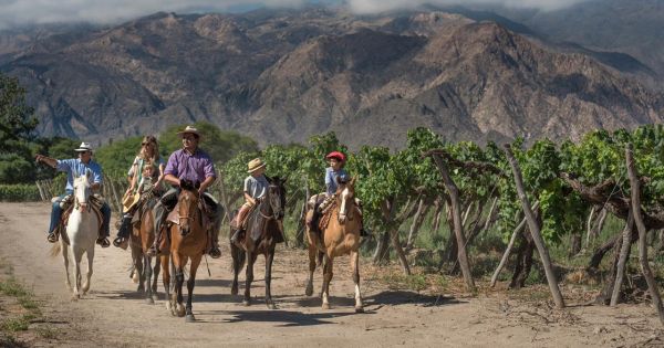 Salta: Turismo invernal y vinos en auge para 2026
